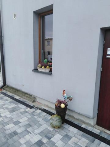 Pod Kogucikiem Krzyzanowice Exterior foto