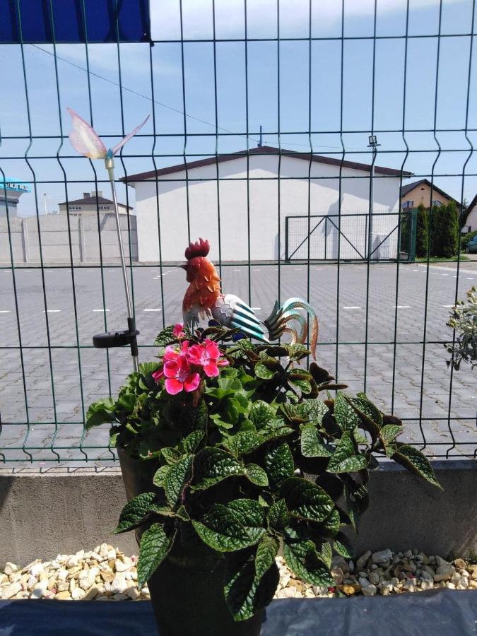 Pod Kogucikiem Krzyzanowice Exterior foto