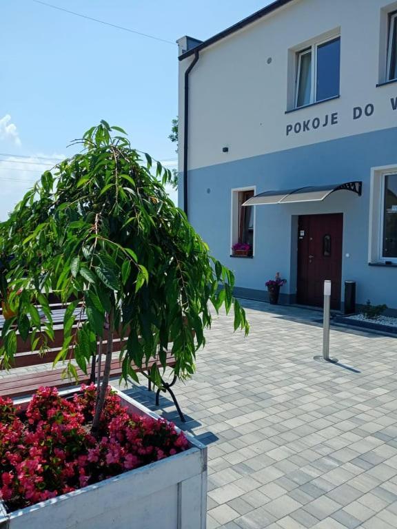 Pod Kogucikiem Krzyzanowice Exterior foto